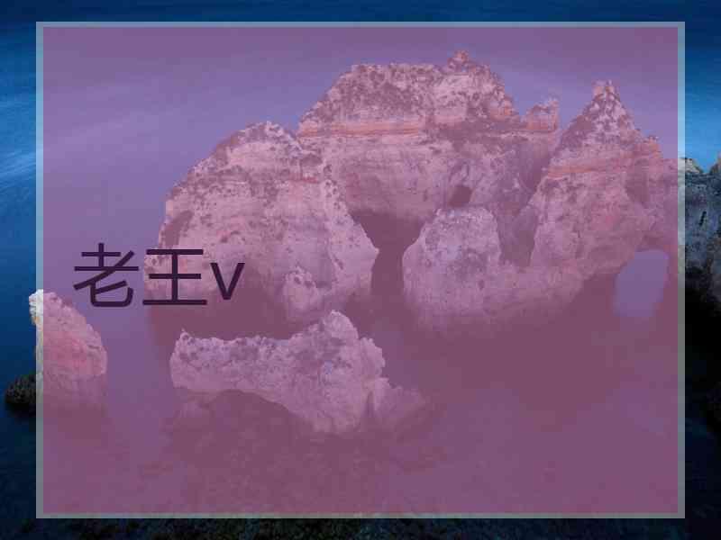 老王v